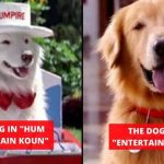Bollywood Pets