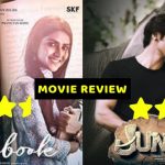 JUNGLEE NOTEBOOK MOVIE REVIEW