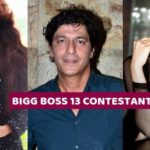 BIGG BOSS 13 CONTESTANTS