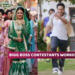 Bigg Boss Contestants in Bollywood movies