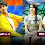 Best South Indian Movies Of Genelia D'Souza