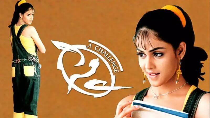 Genelia D'Souza Sye