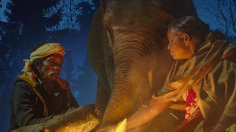 The Elephant Whisperer OTT Movies For December