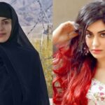 Adah Sharma Net worth