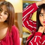 Shehnaaz Gill Facts