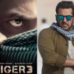 Tiger 3 Salman Updates