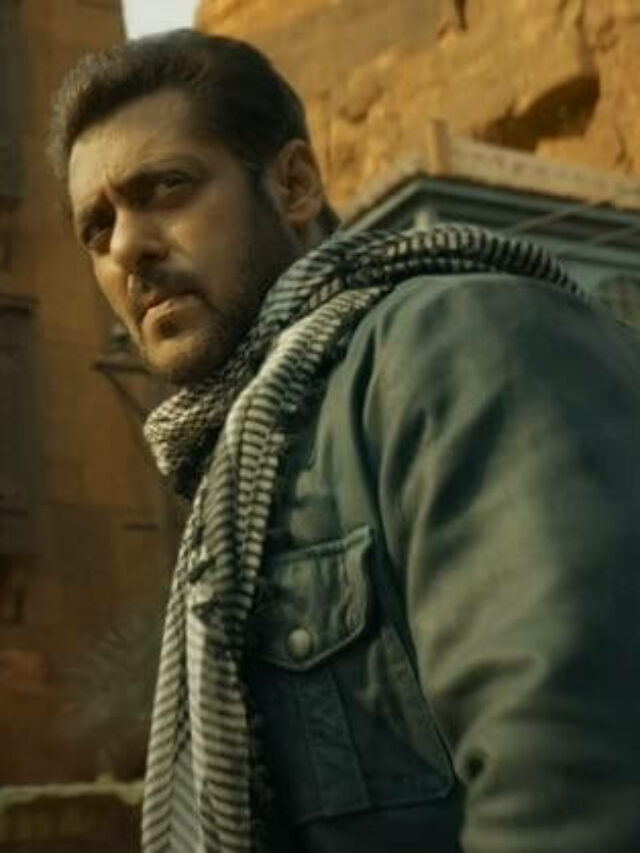 Top 10 Highest Grossing Movies of Salman Khan Before Tiger 3