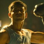 Chandu Champion Day 2 Box Office Collection