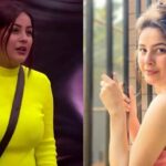 Shehnaaz Gill Weight Loss Journey