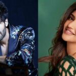 Kartik Aaryan Sreeleela Aashiqui 3