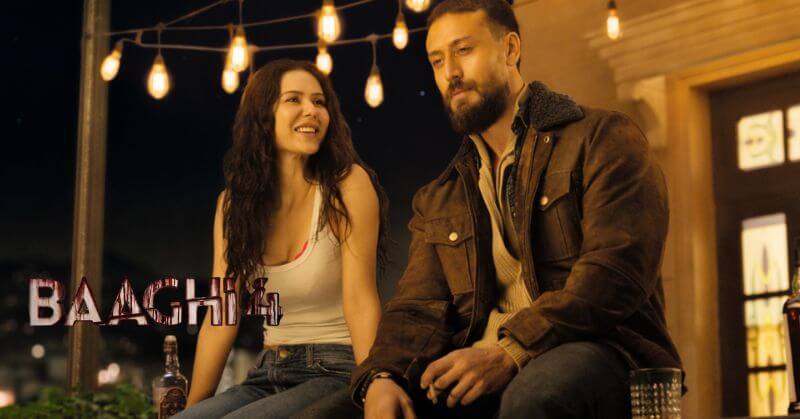 Baaghi 4 Day 4 Box Office