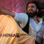 Dhurandhar Day 12 Collection