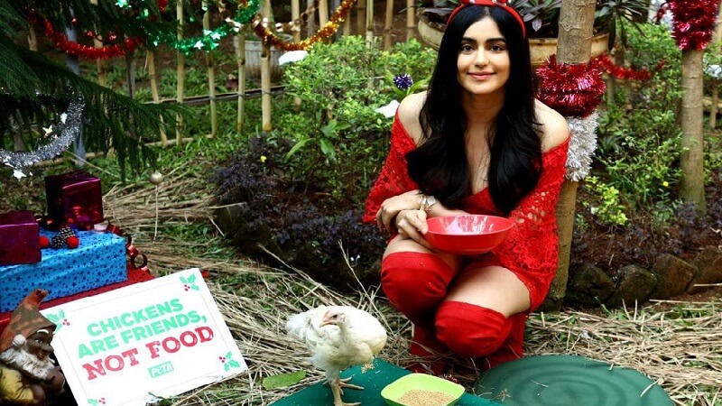 Adah Sharma PETA Vegetarian