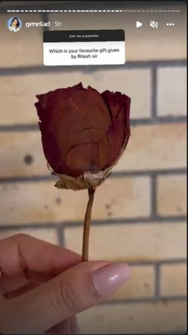 Genelia Rose Gift