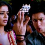Shah Rukh Khan Priyamani