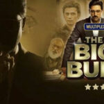 The Big Bull Review